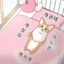 1월의윤슬