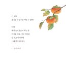 도토리숲교실