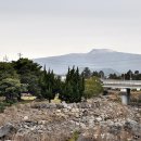 맹살체육공원 이미지