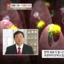 베스트건강식품 - 동해시 중앙로 237 | 베스트건강식품