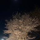 위드펜학원