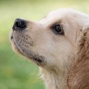 성대농장 이미지