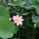 (주)명인 이미지