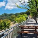 오도산 관광농원 이미지