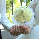 투게더국제결혼 이미지