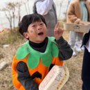 진주비료 영농조합법인 | 성주 남작골캠핑장 마녀학교 아이와 캠핑 솔직후기