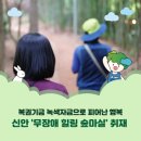 복권힐링점 | [국민기자단] 복권기금 녹색자금으로 피어난 행복, 신안 '무장애 힐링 숲마실' 취재