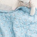 크린챔프 이미지