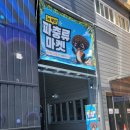 피아크 | [후기] 부산 영도 피아크 아르떼뮤지엄 특별 행사장 파충류 마켓 with 랩타일 페어, 희귀식물 마켓