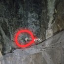 (주)일신동양활석 | 함께 가기 좋은 충북 충주 활옥동굴에 다녀온 후기/활옥동굴 카약 타기/충주 아이와 가볼만한 여행지...