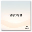 담쟁이넝쿨 효능 키우기 제거 꽃말 종류 깔끔 정리