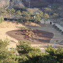 안면도자연휴양림 이미지