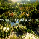 한택식물원 이미지
