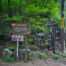 완산-2 | [20240420] 전주여행 2일 새벽-완산꽃동산 철쭉, 카페 디드 내돈내산 후기후기