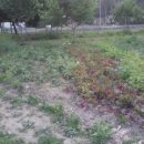 은지가든 이미지