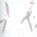 도감행정사사무소 이미지