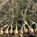 터미널농약사 이미지