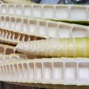 시사교육박물관 김갑진 갤러리 이미지