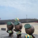 할망꽃쉼팡