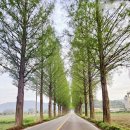 팔덕면사무소 이미지