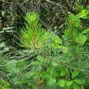 이완기농장 이미지