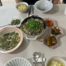 B36 | 임신 14-15주차 일상 : 봄 맞이하기 (만석공원, 경희대 용인캠 벚꽃, 임산부 스시 오마카세)