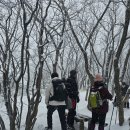 눈꽃처럼 밝은 설화마을 | 겨울 산행으로 추천하는 대관령휴게소 출발 선자령 등산코스 날씨 눈꽃 트레킹 정보 공유