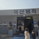 청도현대서비스 | 청도 영포티를 위한 덕산방직 청도 카페추천