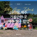 짱구농장 | 제주 아이랑 가볼만한 곳 : 짱구 팝업스토어 후기