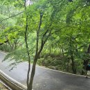 강화마니산 관광안내소 | 마니산 등산 / 초보자 등산 코스 추천 / 마니산 참성단 계단로, 단군로 코스 등산 후 약암홍염천사우나...