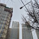 이수연공인중개사사무소 이미지