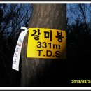 돌산커피 이미지