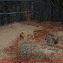 은평-038 이미지