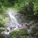 웰리힐리파크 관광단지 이미지