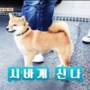 띵