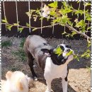 놀다가개유치원 이미지