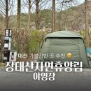 대전 가볼만한 곳 장태산 자연휴양림 야영장 A5 명당사이트