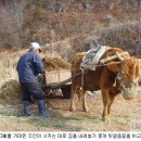 달구지 이미지