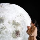 시간토끼 이미지