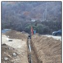 창호농장 이미지