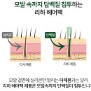 인챈트헤어