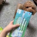 베프랑 | 강아지간식 마이베프 별자리스틱 먹여본 솔직후기 기호성좋은 츄르