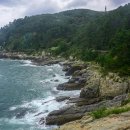 이기대 동생말 이미지