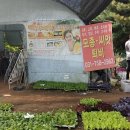 청종농장 이미지