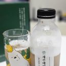 제주하루빵 | 제주기념품 모믈고팡in제주 메밀빵, 메밀식혜 후기