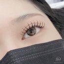몬트부띠끄