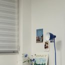 더위클리주 | 부산 영어회화 위클리 클래스 주1회 다녀본 후기