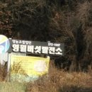 개동태양광발전소 이미지