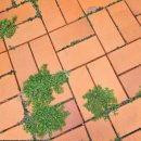 풀잎치과의원 이미지