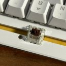 프로(166) | 카카오프렌즈와 스폰지밥이 다시 만났어요_베이비 버전_카카오프렌즈 판교아지트점_26.04.03 방문 후기